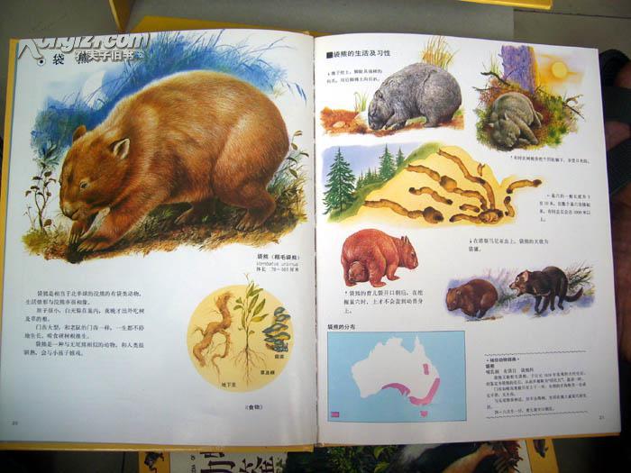 世界动物图鉴(全十册 手绘版)