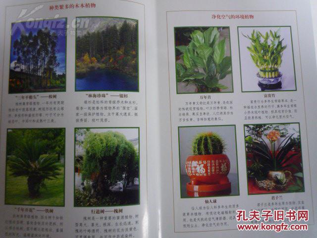 《植物百科全书 》特价 定价598元 线装书局 全套四本清仓正版全新!
