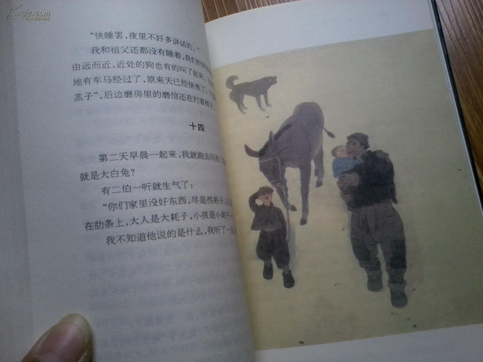 呼兰河传(彩色插图)