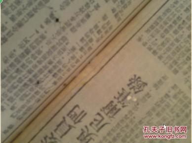 国际科学委员会委员们询问美国空军战俘克尼斯