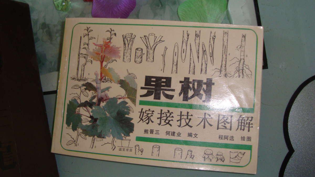 【图】果树嫁接技术图解