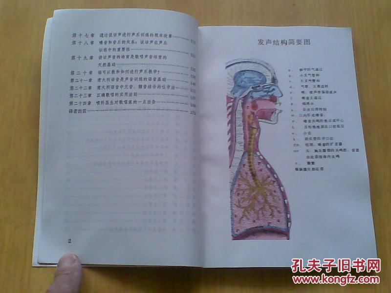 卡鲁索的发声方法-嗓音的科学培育