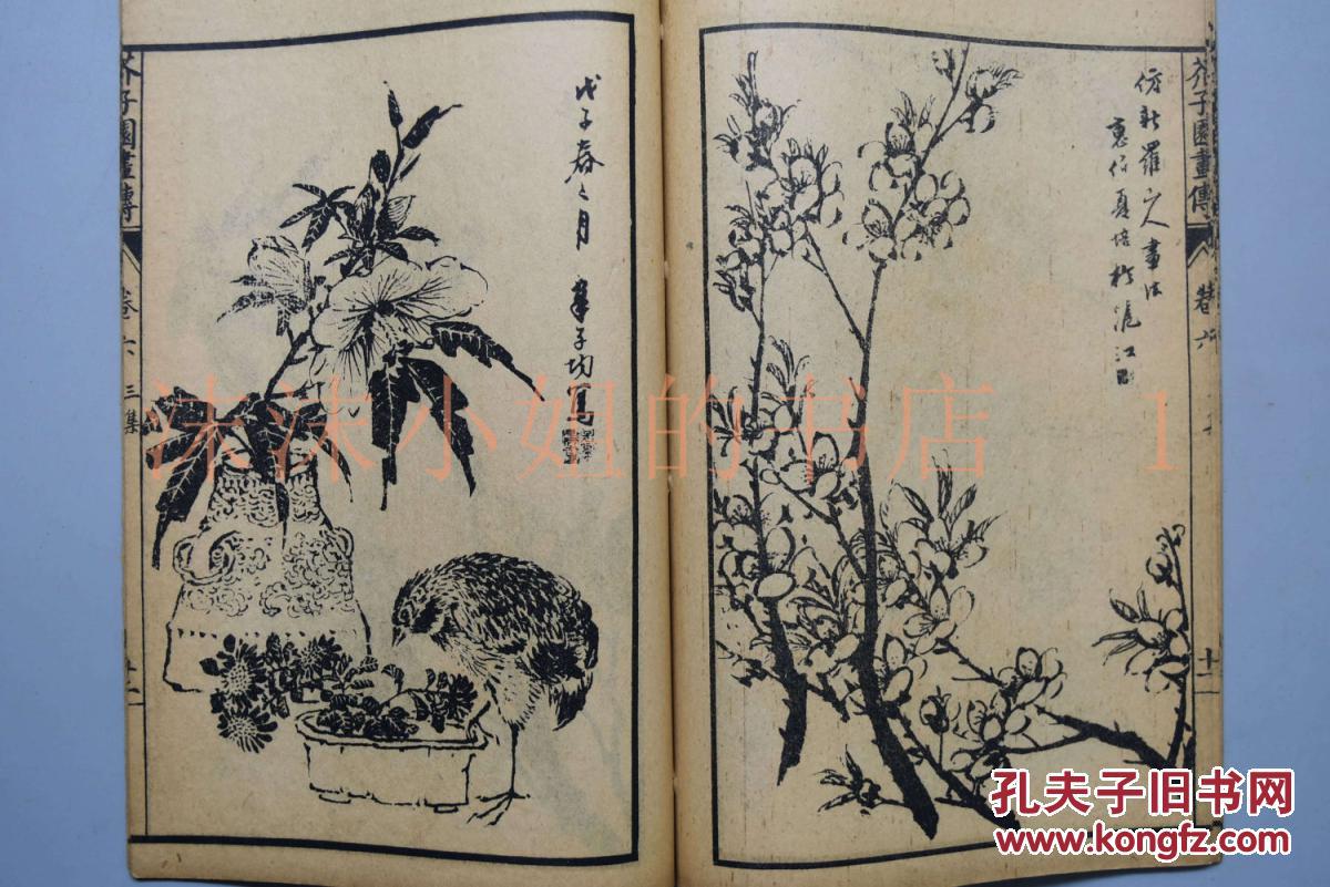《芥子园画传三集 原函线装4册 民国石印 草虫 花卉 模仿名家 从用