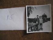 老照片：1964年西安兴庆公园风景照片