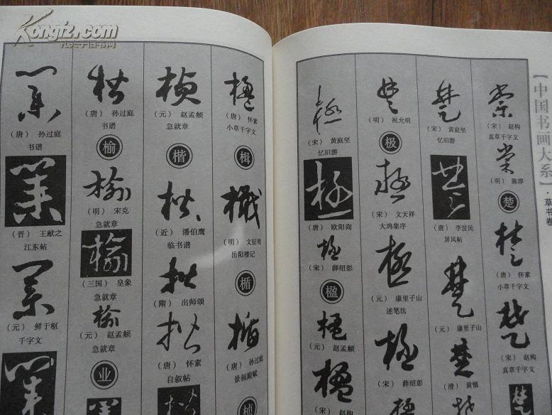 正版书 《中国草书大字典》 大16开精装一版一印本(有大量章草字体) 9