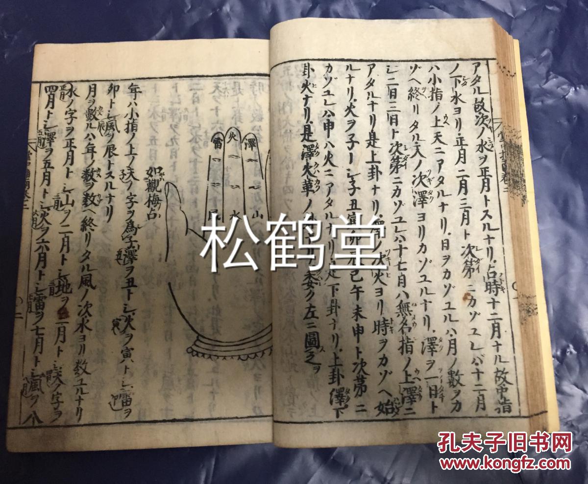 跋什么涉什么成语_跋疣是什么样子图片(3)