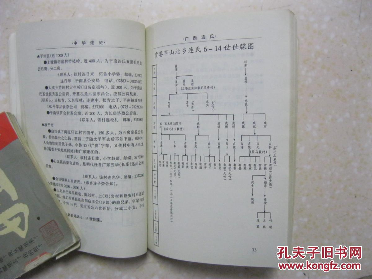 中华连姓(详介寻根问祖,上党连氏南迁,各省连氏分述,前贤后俊,宗族