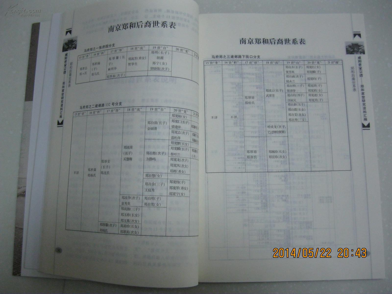 家谱人口录入表_人口普查(3)