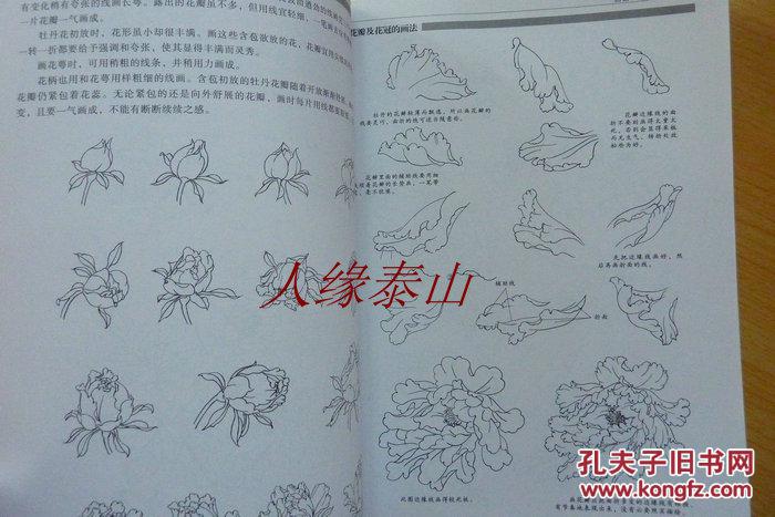 歌曲国画牡丹曲谱_国画牡丹(2)