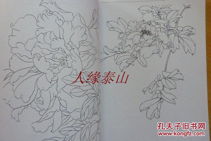歌曲国画牡丹曲谱_国画牡丹