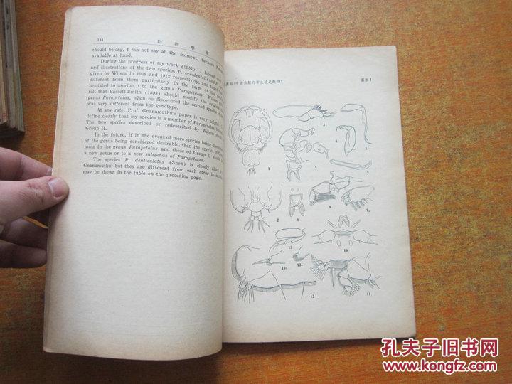 【图】动物学报 第10卷 第2期 1958年_价格:2