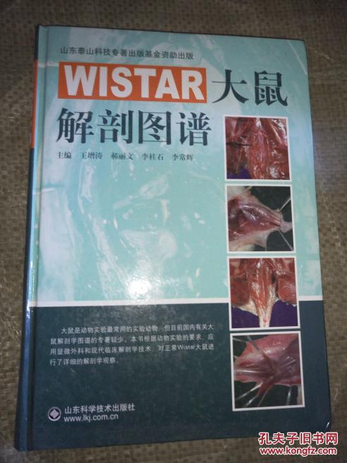 wistar大鼠解剖图谱
