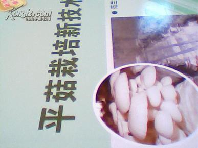 ooYBAFSNO36AXOwOAACTLKkJ-W4009_n.jpg