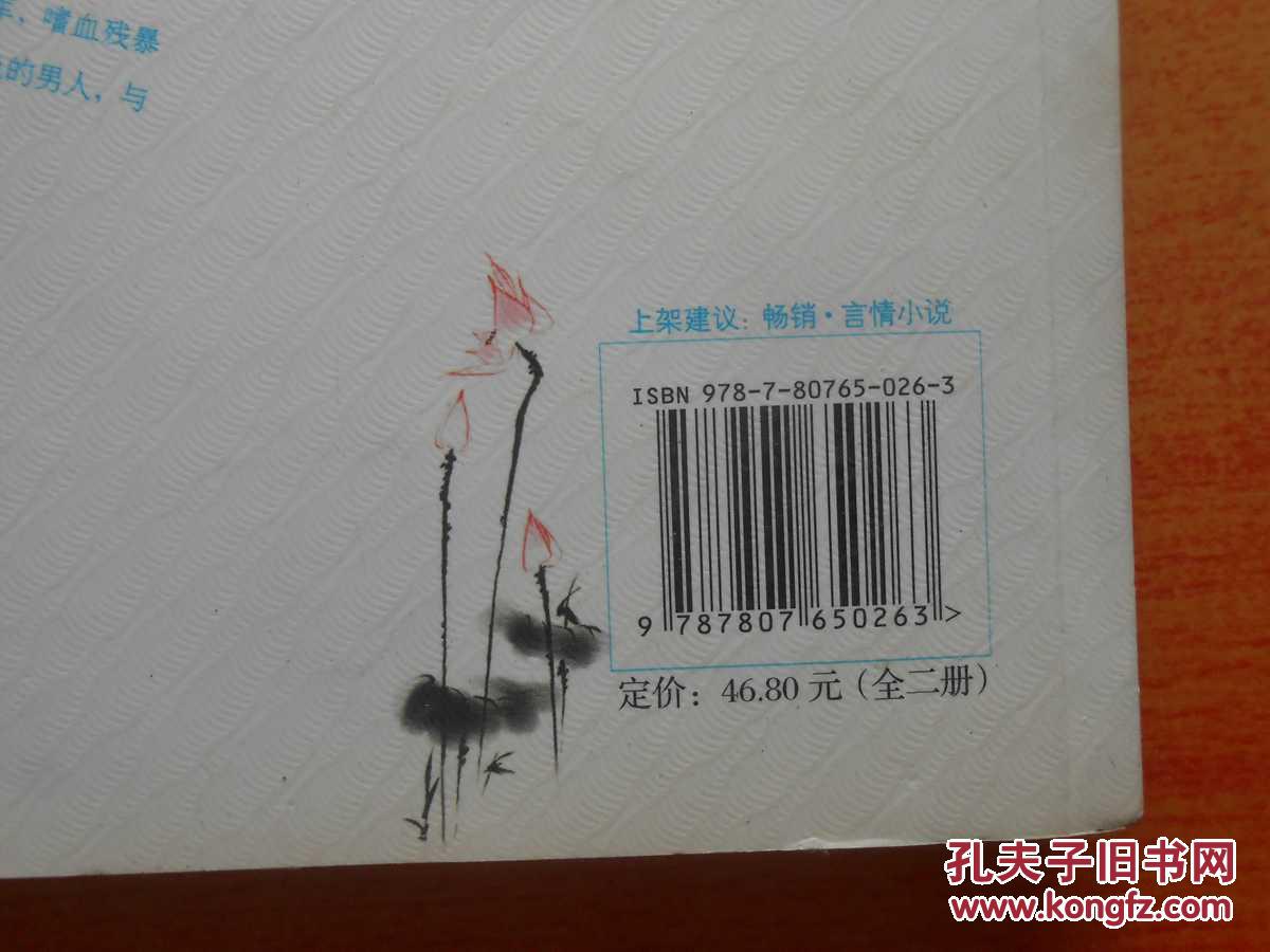 【图】逐风流(下)_价格:3.00_网上书店网站