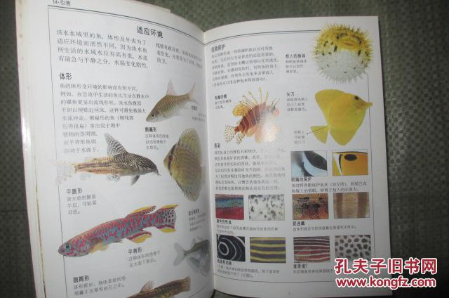 【图】观赏鱼:全世界500多种观赏鱼的彩色图鉴