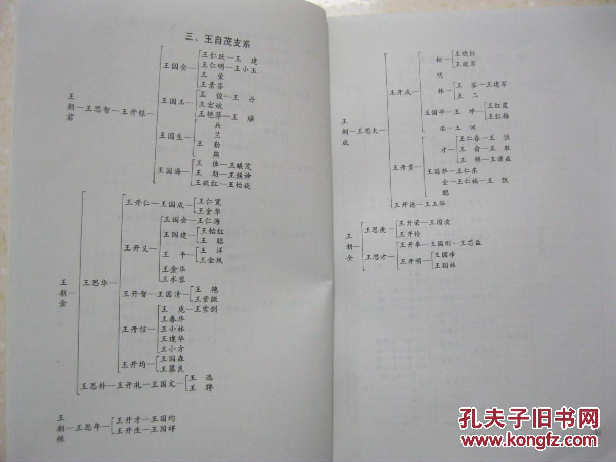 王氏族谱(远祖原居陕西华县,一代先祖王连方于清康熙初期从四川广元