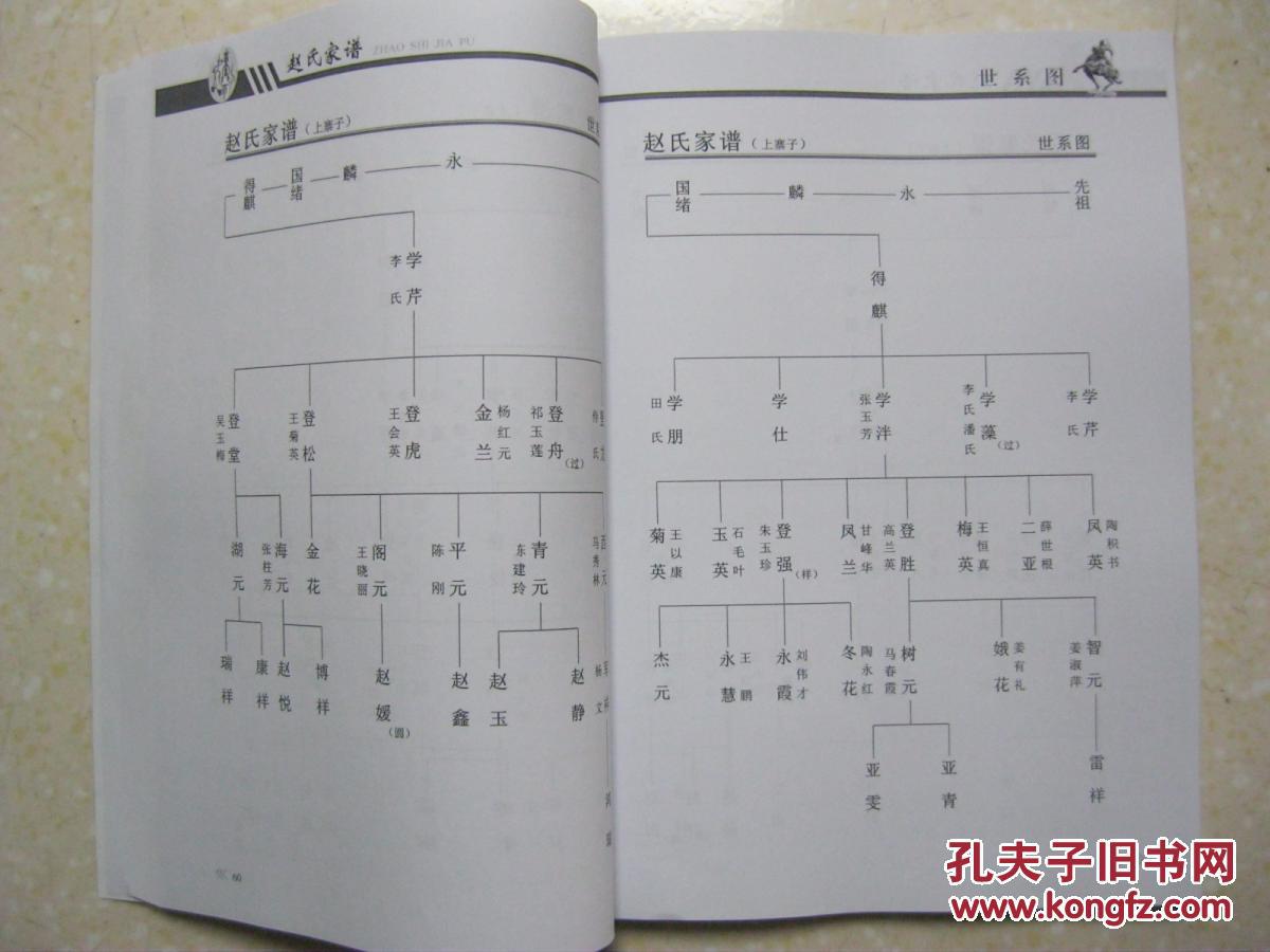 赵氏家谱(民勤县东湖镇正新村,西渠镇首好村,红沙梁乡