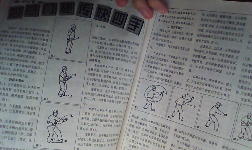 少林十字战拳,八卦掌散手,心意拳猴形,心意拳虎步行功,空手道,心意门