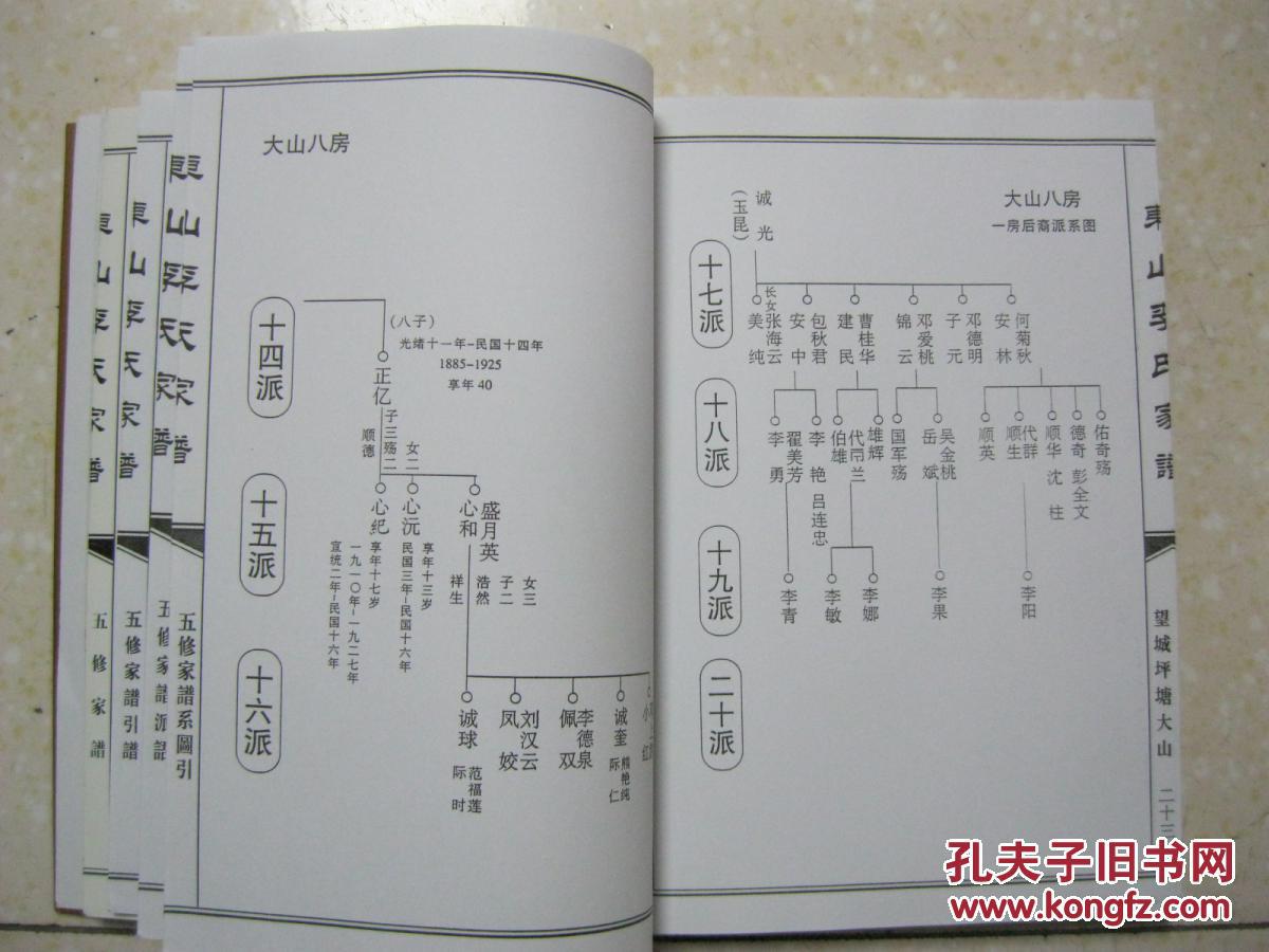 李氏五修家谱(楚南沩宁东山望城坪塘大山李氏家谱.