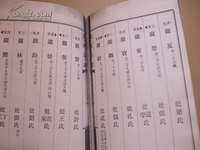 袁氏宗谱 【山东省蓬莱袁氏族谱】