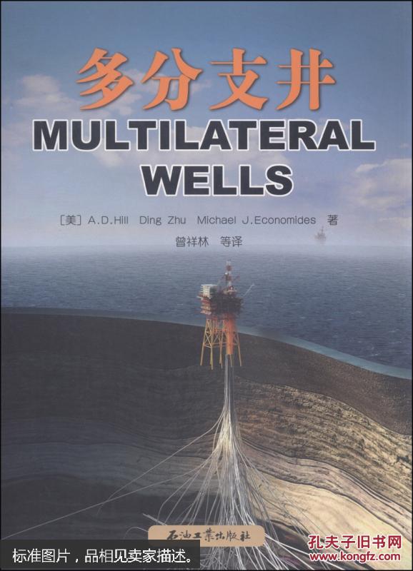 多分支井 [multilateral wells]