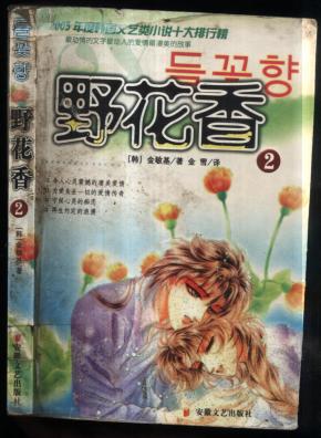 野花香2_简介_作者:(韩)金敏基著_安徽文艺出