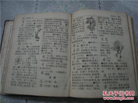 【图】新华字典(人民教育出版社)【1954年版】