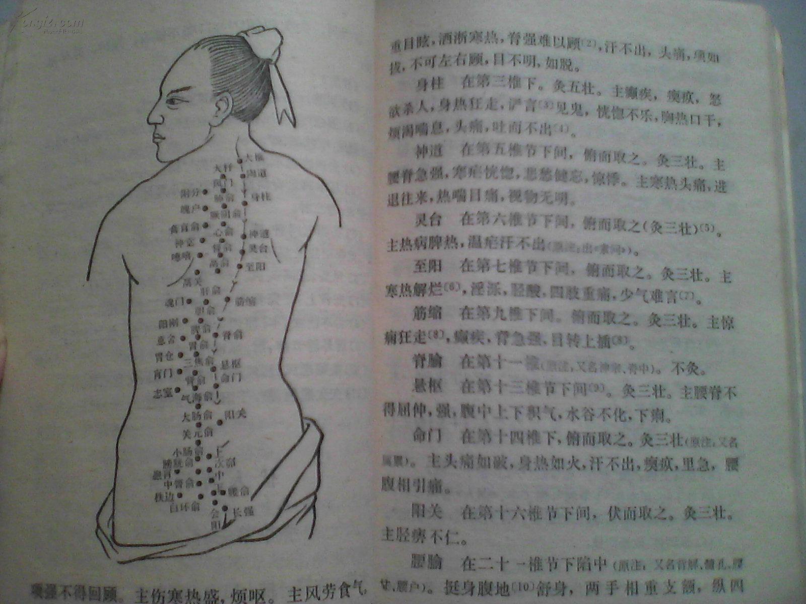 西方子明堂灸经 灸膏育俞穴法