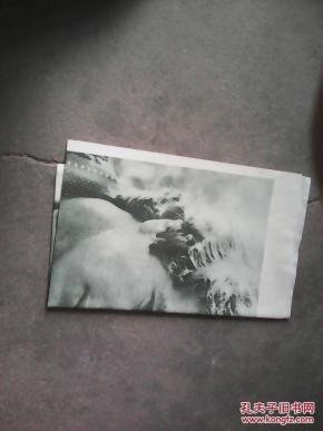 2张美国电影海报.爱情故事