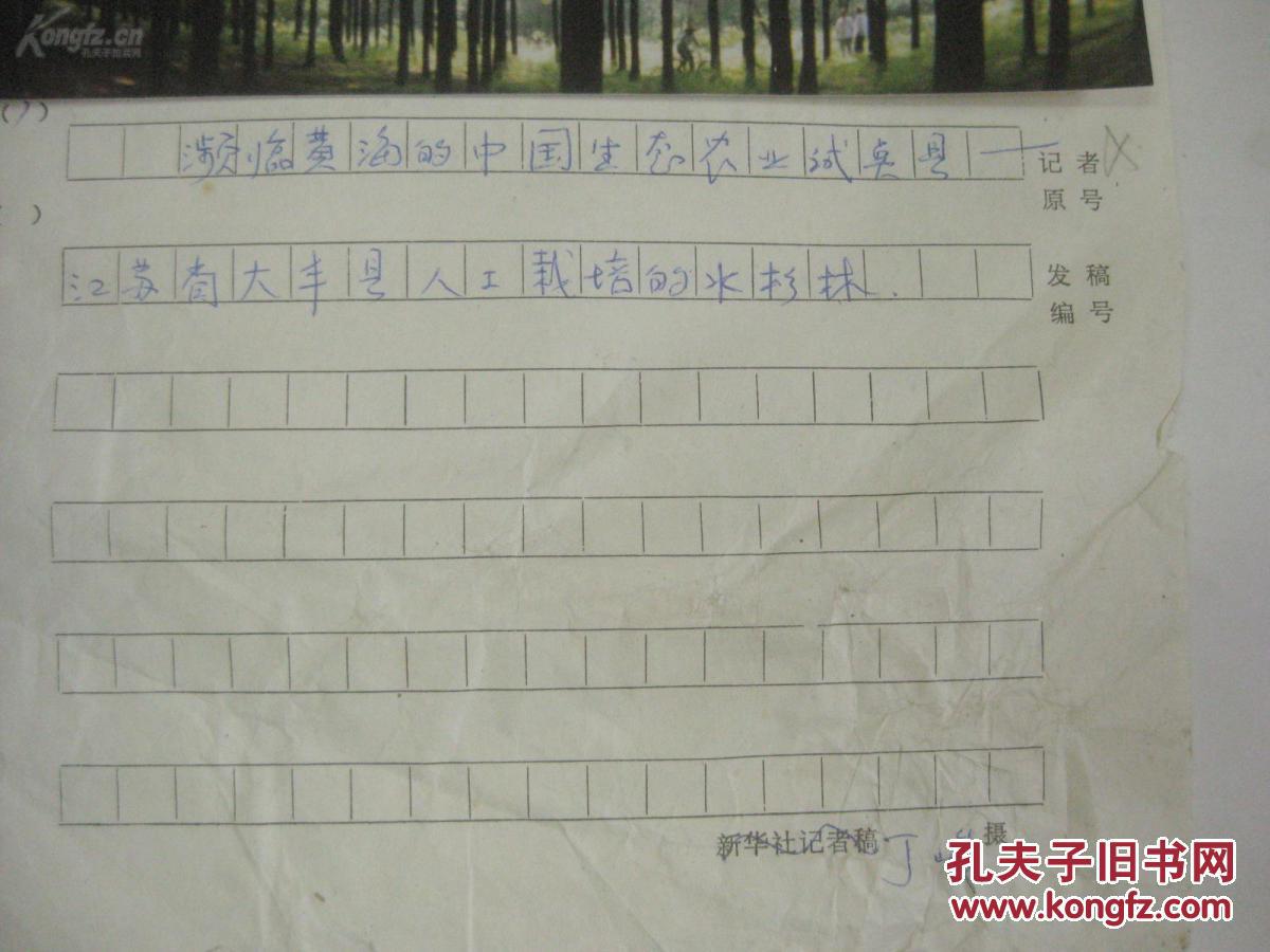 新华社记者丁·峻 摄影新闻照片1张 附有文字稿