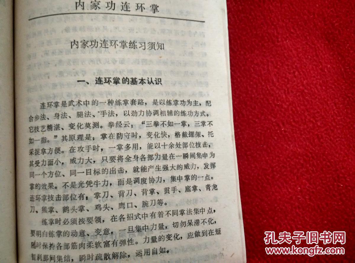 稀缺本 只印了2000册)民国武术大宗师薛颠先生 真传全套象形术古法