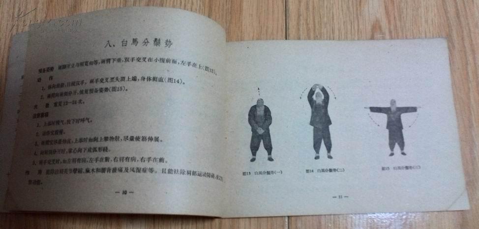 祛病延年二十势(1号箱)