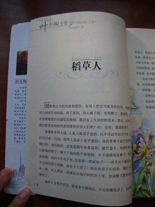 稻草人之眼泪读后感300字 叶圣陶稻草人读后感