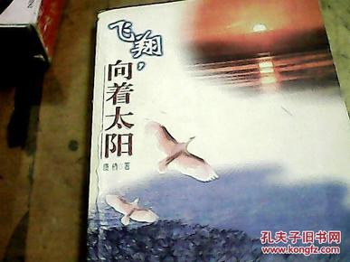 向着太阳飞翔简谱_向着太阳飞翔手抄报