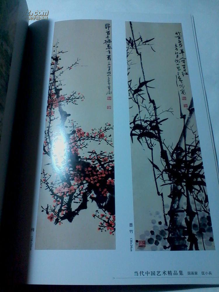 匡小兵画集 匡小兵国画作品集 国画家匡小兵(国画大师