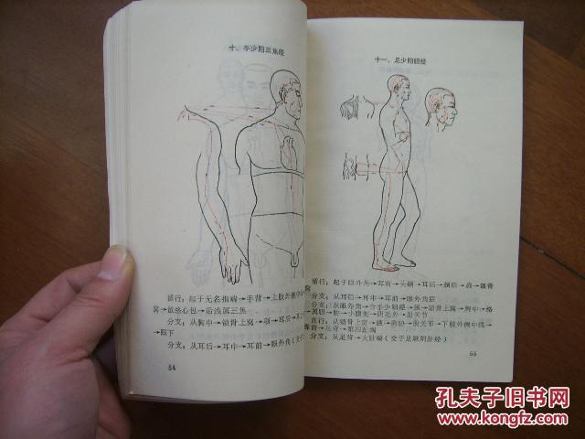 【图】中医学基础_价格:18.00