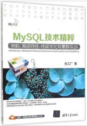 MySQL技术精粹-架构.高级特性.性能优化与集
