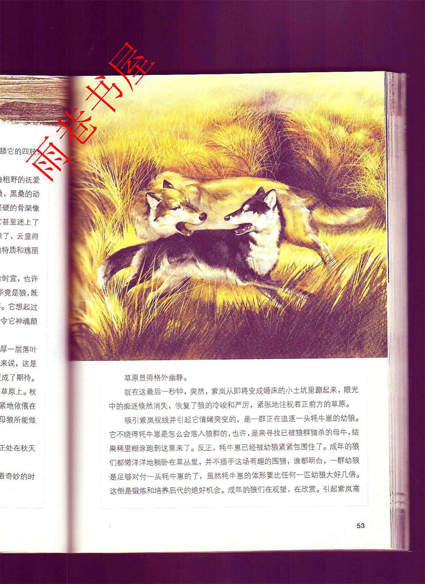狼王梦(美绘版)沈石溪动物文学精选