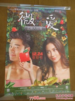 电影海报-《微爱-之渐入佳境》【1开】