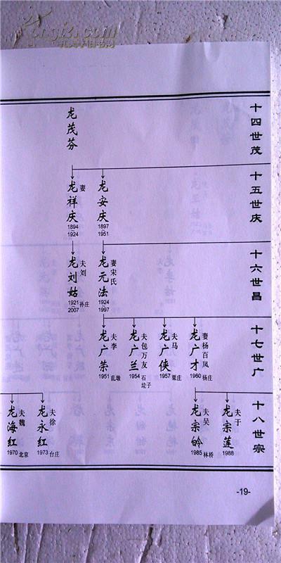 家谱----龙氏族谱 云公支 16开 (上 下本) 329页 2012