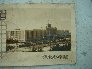 年历贺卡,恭贺新年 东北林学院1964.规格49*98mm,9品.