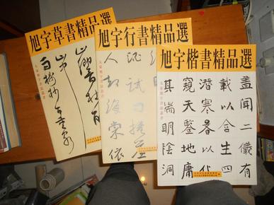 大家旭宇书法丛书 旭宇楷,行,草书精品选 【3本合售】