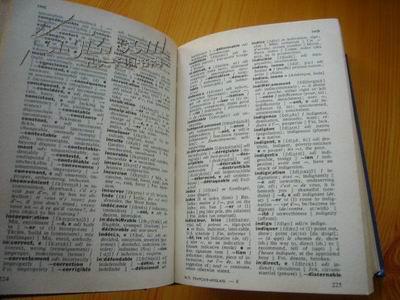 鲁斯 dictionnaire franais-- anglais 法语-英语词