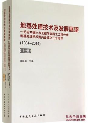 地基处理技术及发展展望-纪念中国土木工程学