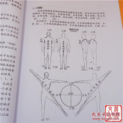 中国的新针灸—八字治疗法讲义 李柏松