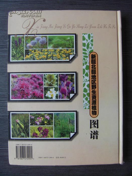 新疆北疆地区野生资源植物图谱【包邮挂】 [同类书出版有:新疆植物志