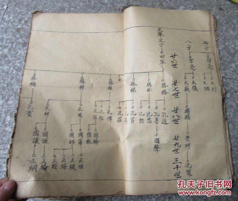 家谱手写表格