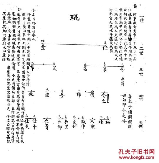 家族曲谱_tf家族三代图片(3)