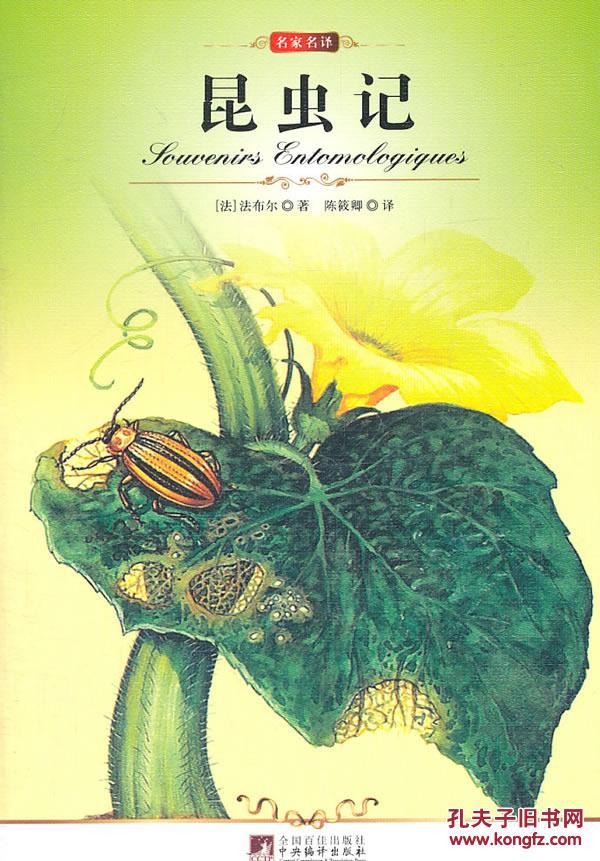 昆虫记中谁是天生的攀岩家-昆虫记攀岩生物宠物花鸟