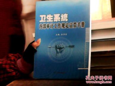 卫生系统 内部审计工作规定宣贯手册_简介_作
